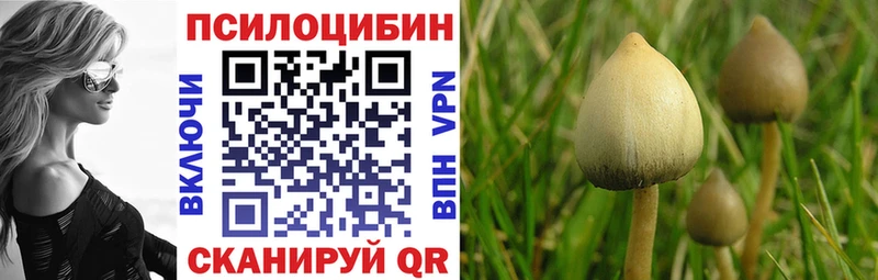 hydra зеркало  Кушва  Псилоцибиновые грибы Cubensis  сколько стоит 